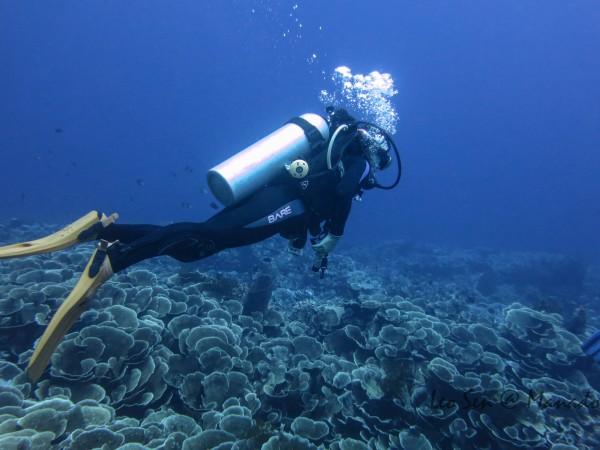 “相约浪漫水银 拥抱诗意木瓜” 木瓜镇不断提升游客体验感